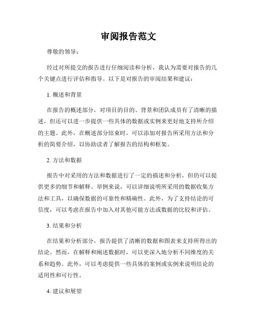 审阅报告范文