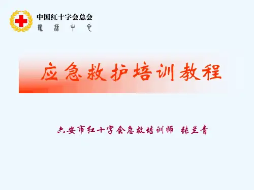 救护员培训标准课件心肺复苏课件