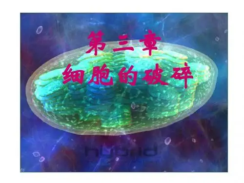 细胞的破碎分析