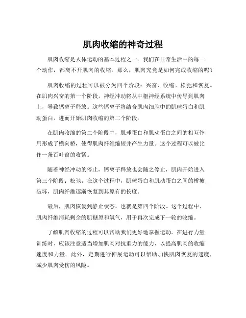 肌肉收缩的过程运动生理学