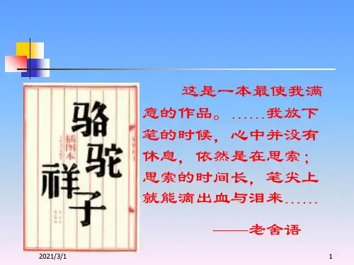 在烈日和暴雨下-可用解析PPT精品课件
