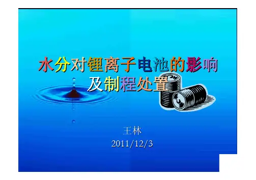 王林--水分对锂离子电池的影响及制程处置