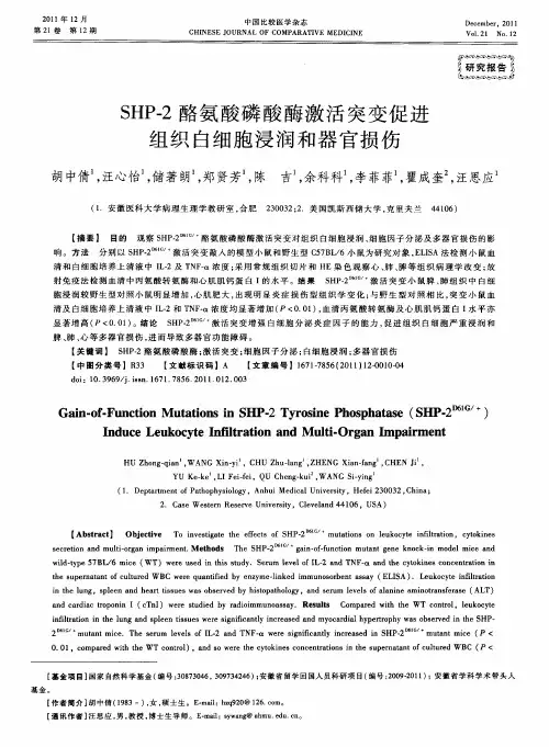 SHP-2酪氨酸磷酸酶激活突变促进组织白细胞浸润和器官损伤
