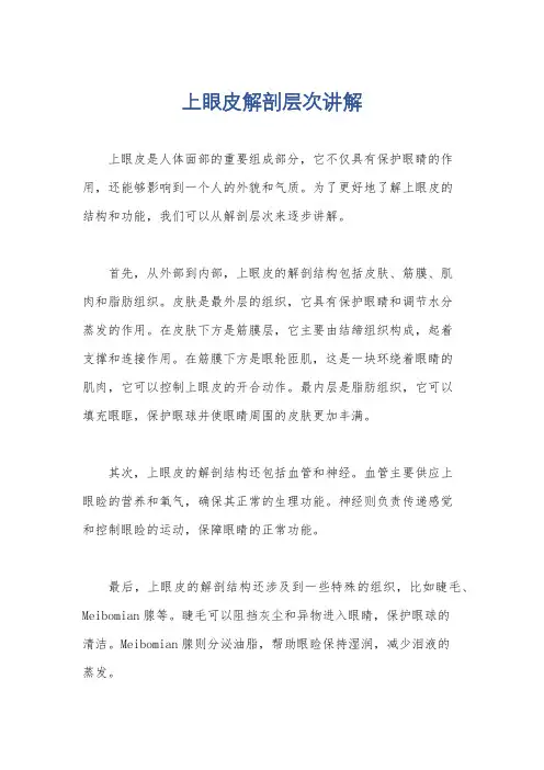 上眼皮解剖层次讲解