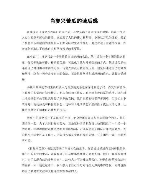 肖复兴苦瓜的读后感