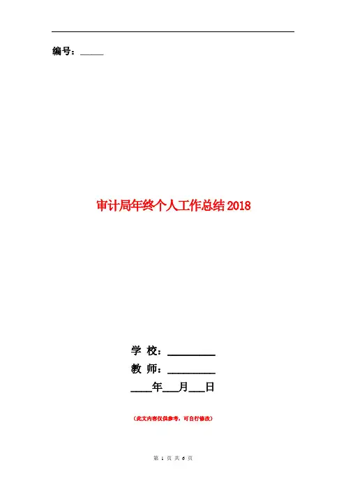 审计局年终个人工作总结2018【新版】
