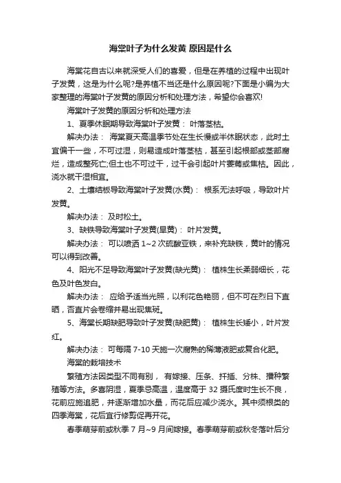 海棠叶子为什么发黄原因是什么