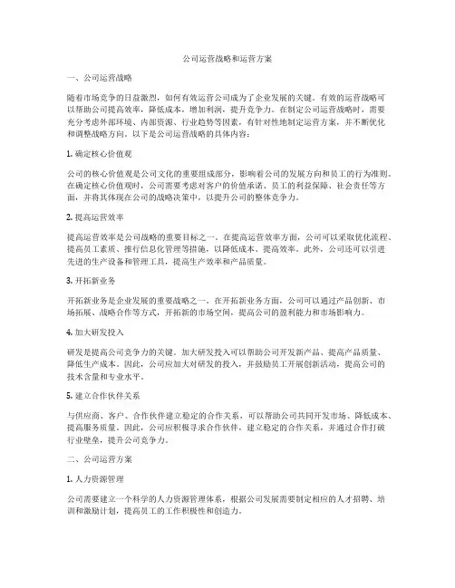 公司运营战略和运营方案