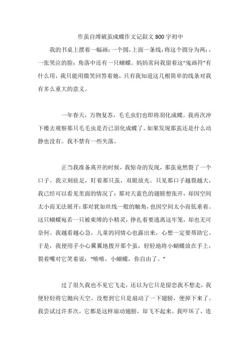 作茧自缚破茧成蝶作文记叙文800字初中