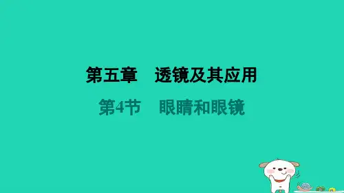 八年级物理上册第五章透镜及其应用第4节眼睛和眼镜课件新版新人教版