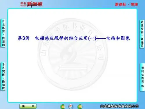 2013新课标高中物理总复习第9章---第3讲