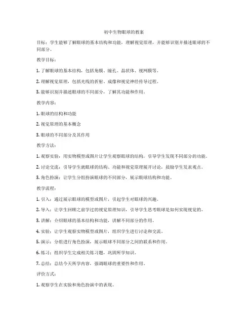 初中生物眼球的教案