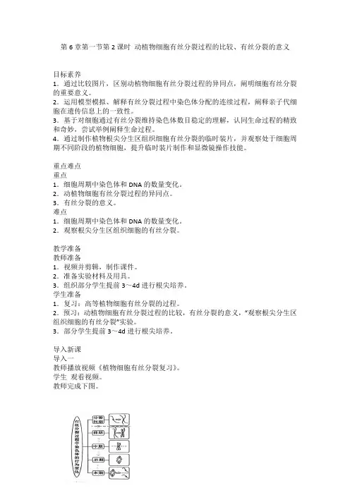 6.1.2动植物细胞有丝分裂过程的比较教学设计-2024-2025学年高一上学期生物人教版必修1