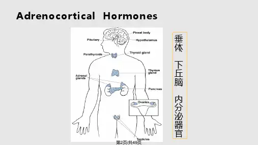 肾上腺皮质激素类药物AdrenocorticalHormones课件