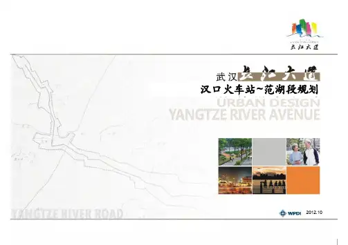 长江大道(汉口火车站-范湖)城市设计