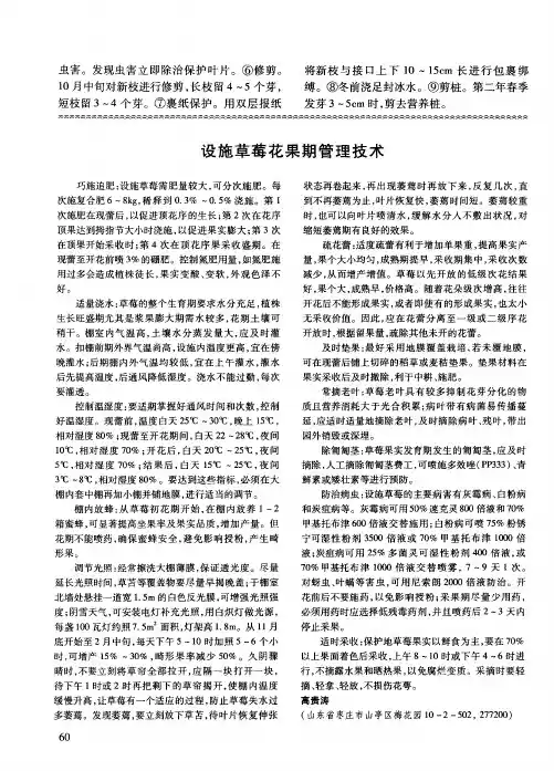 设施草莓花果期管理技术