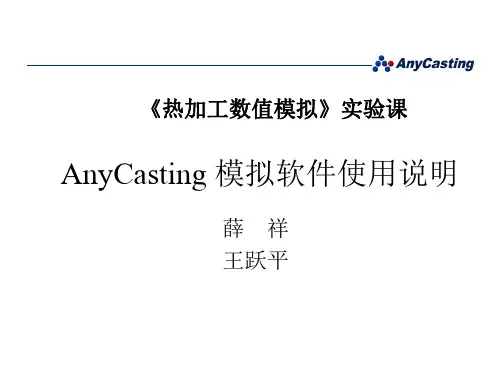 AnyCasting 模拟软件使用说明