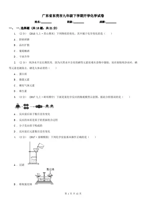 广东省东莞市九年级下学期开学化学试卷