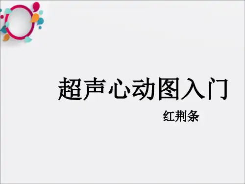 超声心动图入门(1)