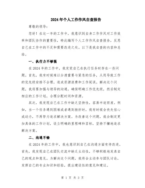 2024年个人工作作风自查报告