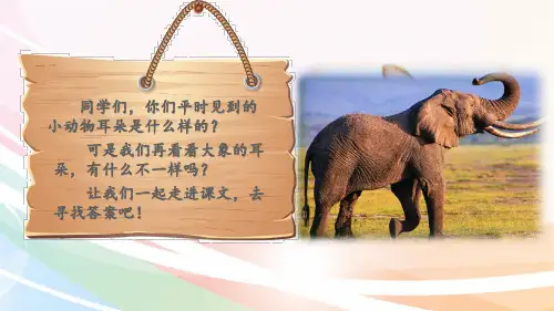最新部编版二年级语文下册课件(完美版)19 大象的耳朵