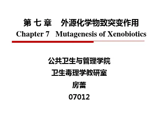 第七章 外源性化学物致突变作用第一次