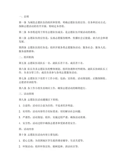 志愿队伍章程模板范文