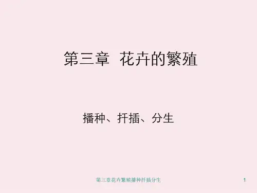 第三章花卉繁殖播种扦插分生