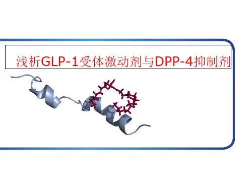 浅析GLP-1受体激动剂与DPP-4抑制剂ppt课件