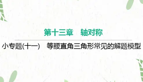 八年级数学人教版(上册)小专题(十一)等腰直角三角形常见的解题模型