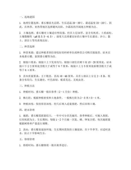 种植番石榴技术管理