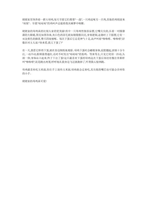 外婆家养的鸡作文