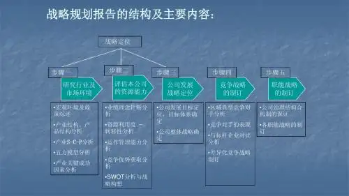 2战略规划报告的结构及主要内容