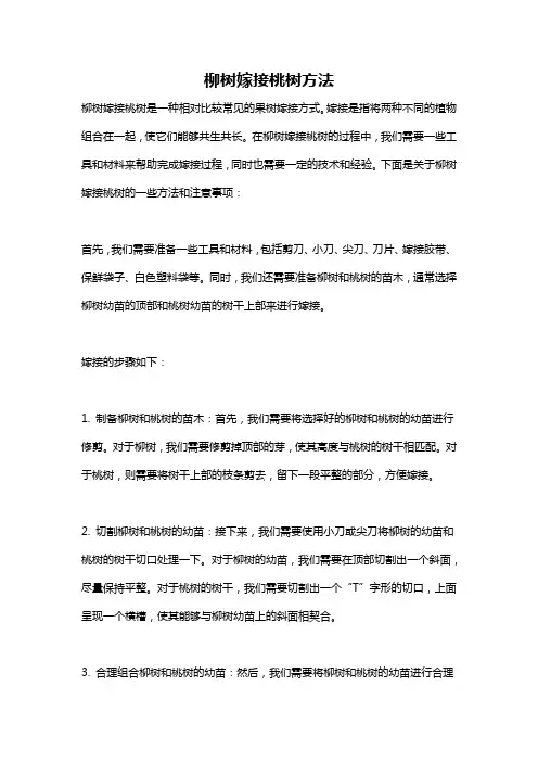 柳树嫁接桃树方法