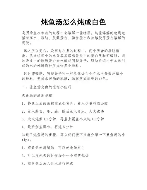 炖鱼汤怎么炖成白色