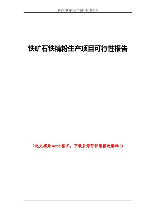 铁矿石铁精粉生产项目可行性报告