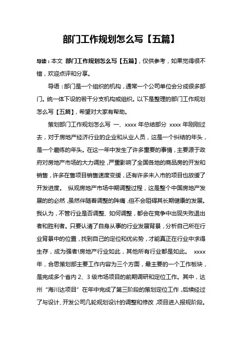 部门工作规划怎么写【五篇】