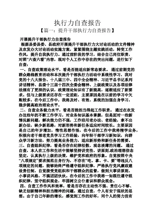 工作报告之执行力自查报告