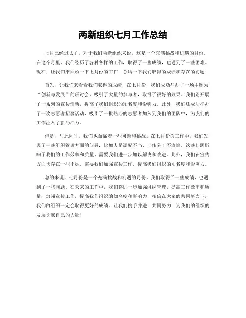 两新组织七月工作总结