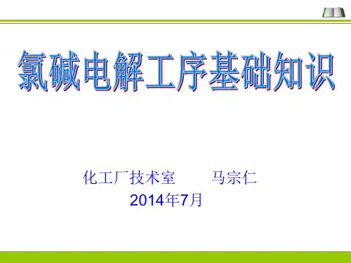 氯碱离子膜电解基础知识2014..