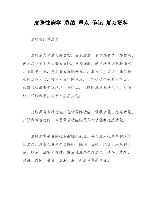 皮肤性病学 总结 重点 笔记 复习资料