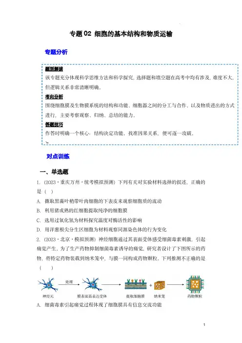 2024年高考生物一轮复习重难点训练(新教材)：专题02 细胞的基本结构和物质运输(原卷版)