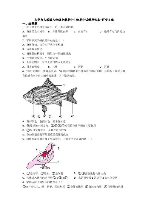 东莞市人教版八年级上册期中生物期中试卷及答案-百度文库
