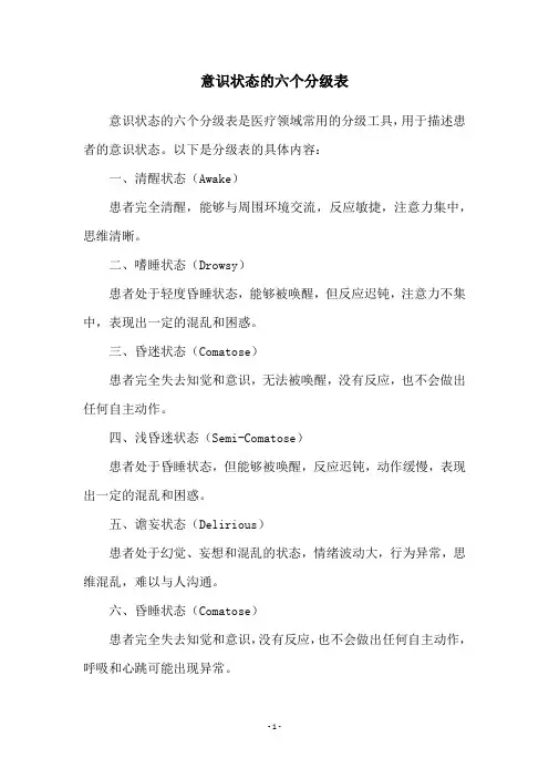 意识状态的六个分级表