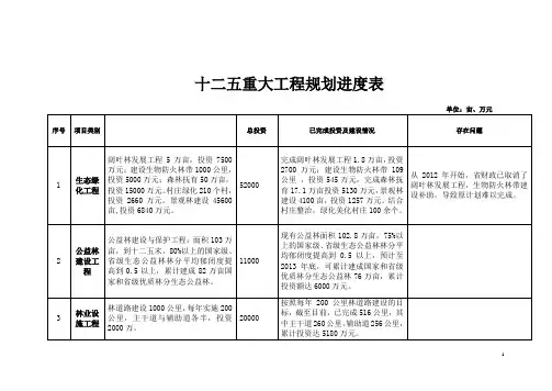 十二五重大工程规划进度表