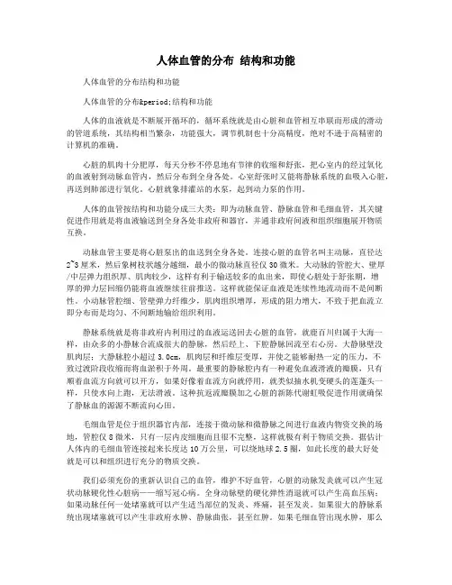人体血管的分布 结构和功能