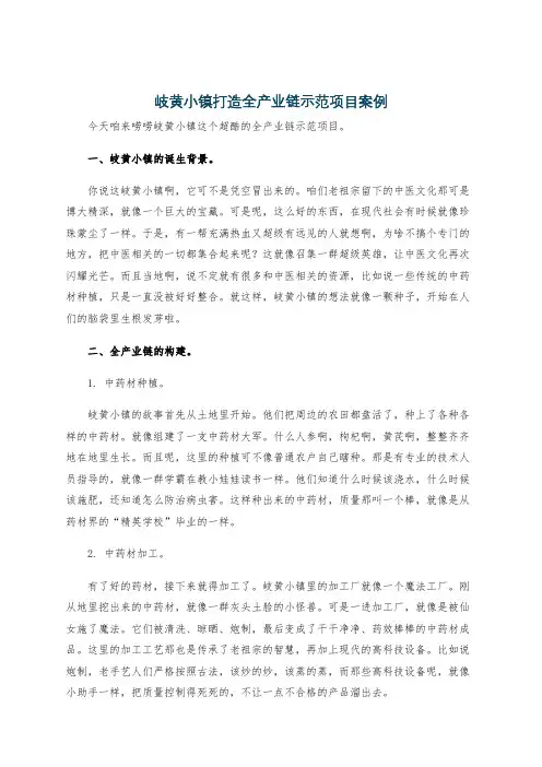 岐黄小镇打造全产业链示范项目案例