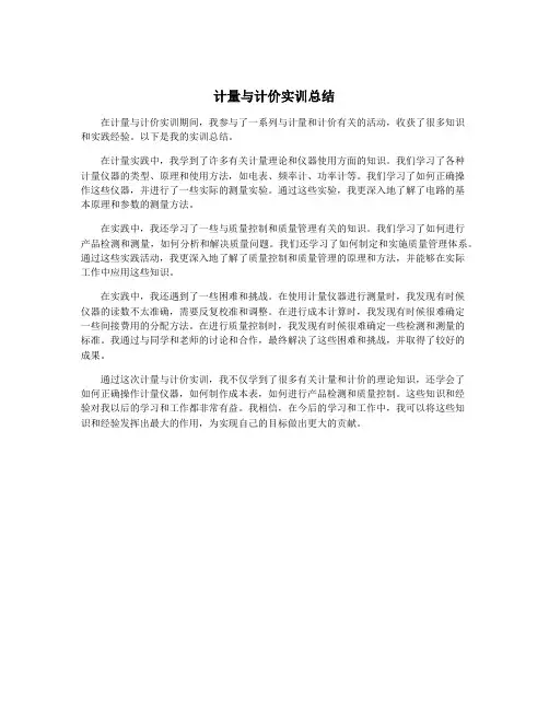 计量与计价实训总结