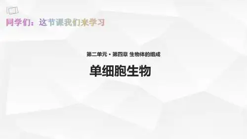 初中七年级生物上册教学课件《单细胞生物》(苏教)