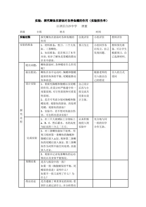 探究鲫鱼在游泳时各种鱼鳍的实验设计